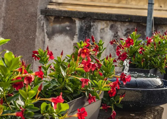 Ag Spanish Steps Terrace Appartement
